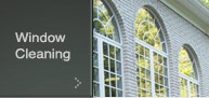 WINDOW CLEANING